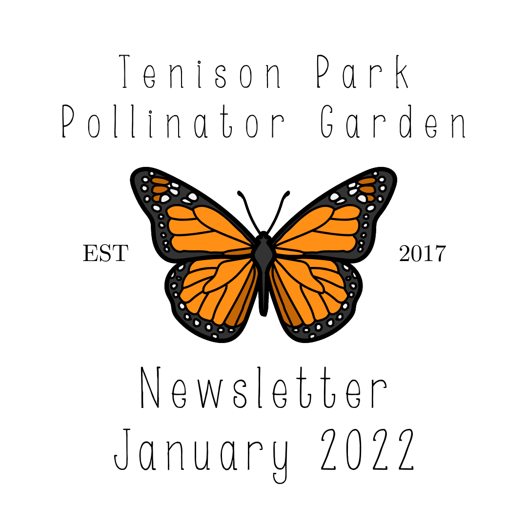 HSMNA Newsletter Tenison Park Pollinator Garden (January 2022)