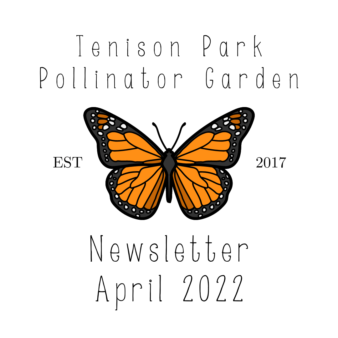 HSMNA Newsletter Tenison Park Pollinator Garden (April 2022)