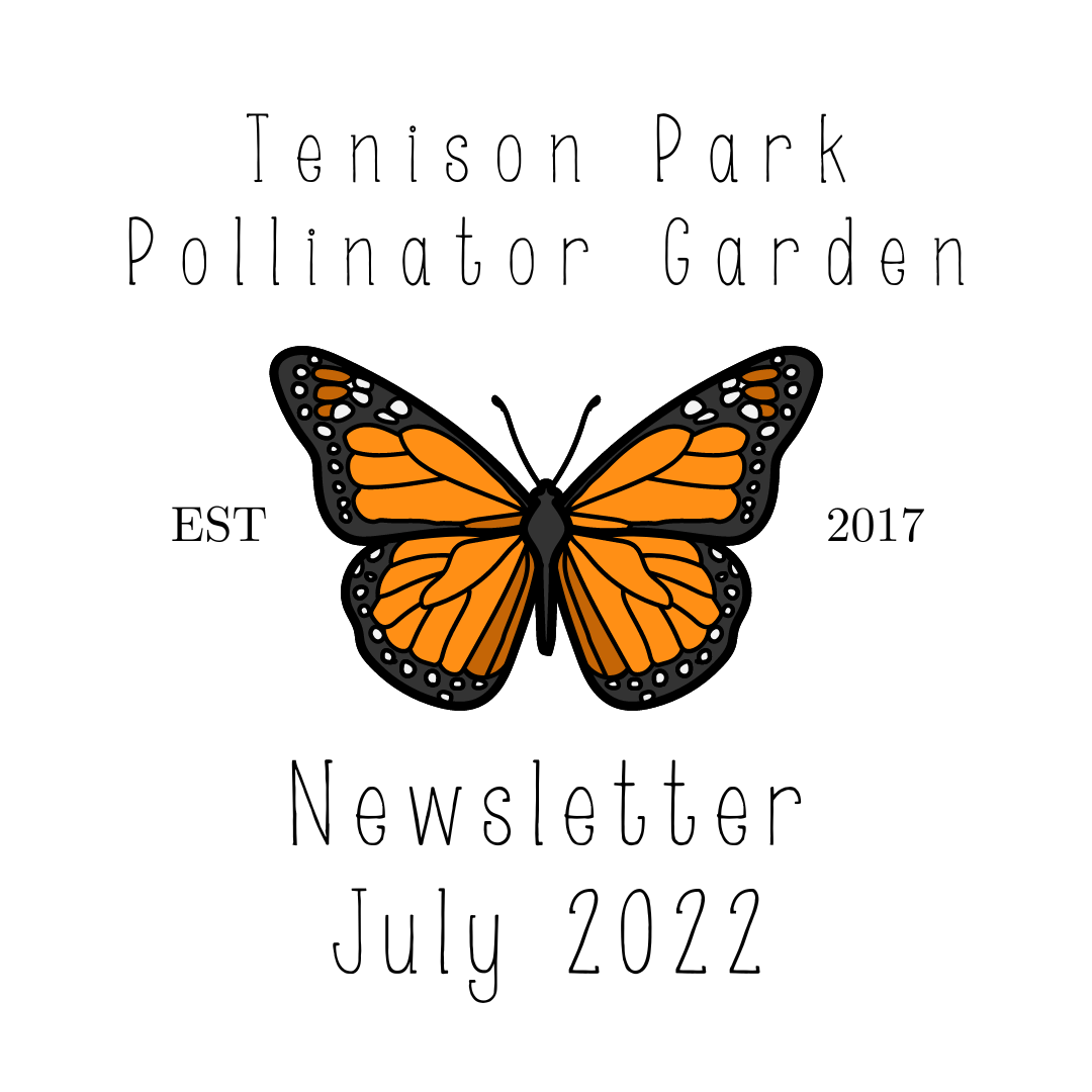 HSMNA Newsletter Tenison Park Pollinator Garden (July 2022)