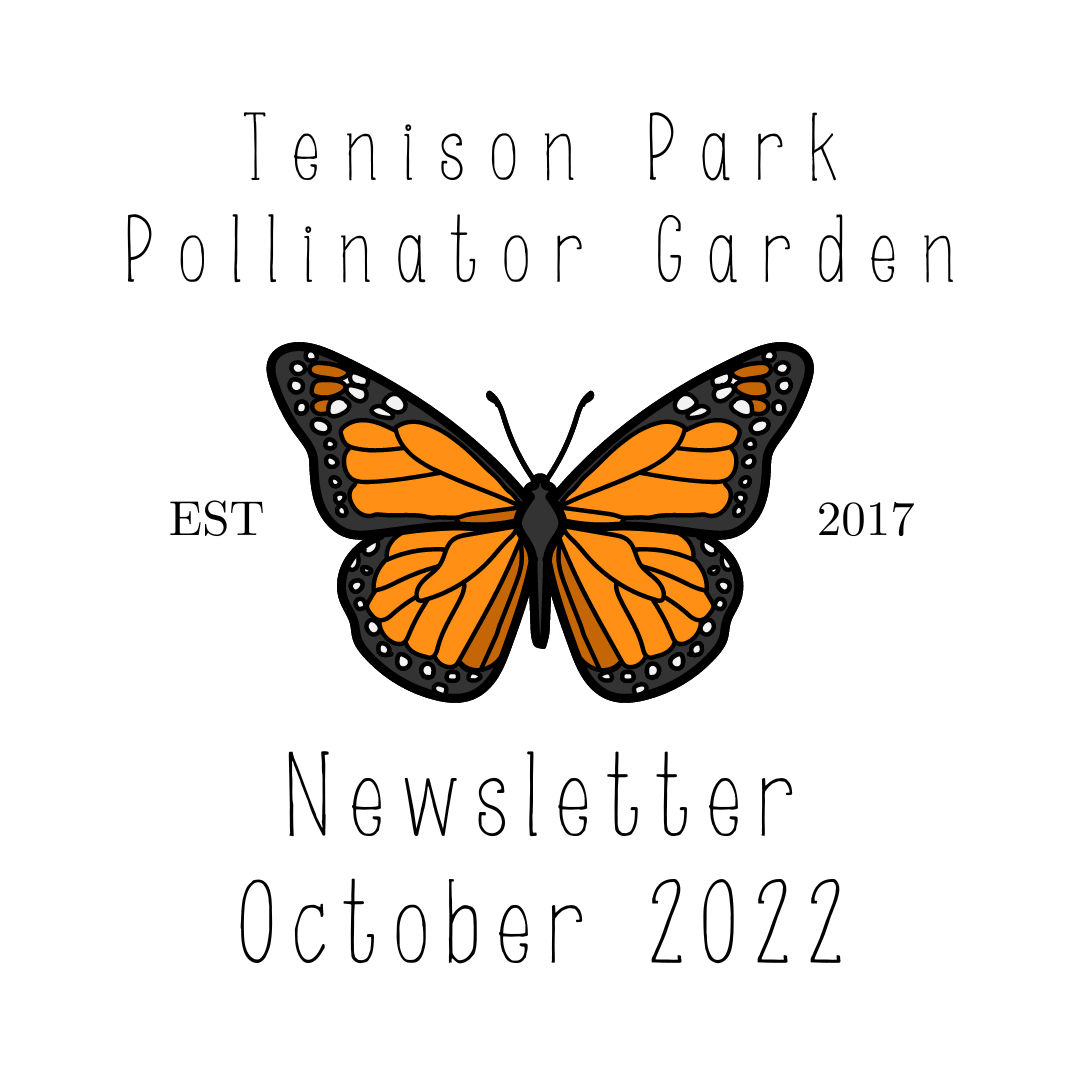 HSMNA Tenison Park Pollinator Garden Newsletter (October 2022)