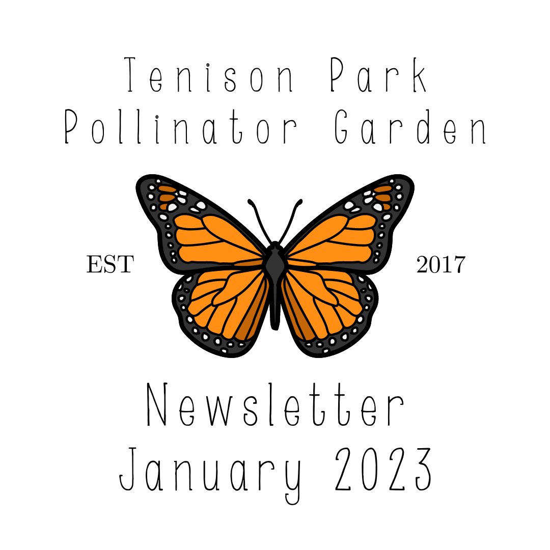 HSMNA Newsletter Tenison Park Pollinator Garden (January 2023)