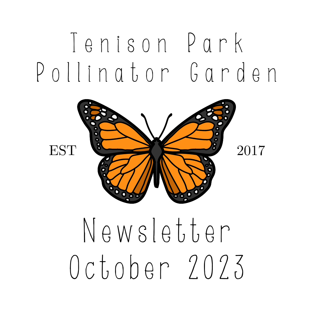 HSMNA Newsletter Tenison Park Pollinator Garden (October 2023)